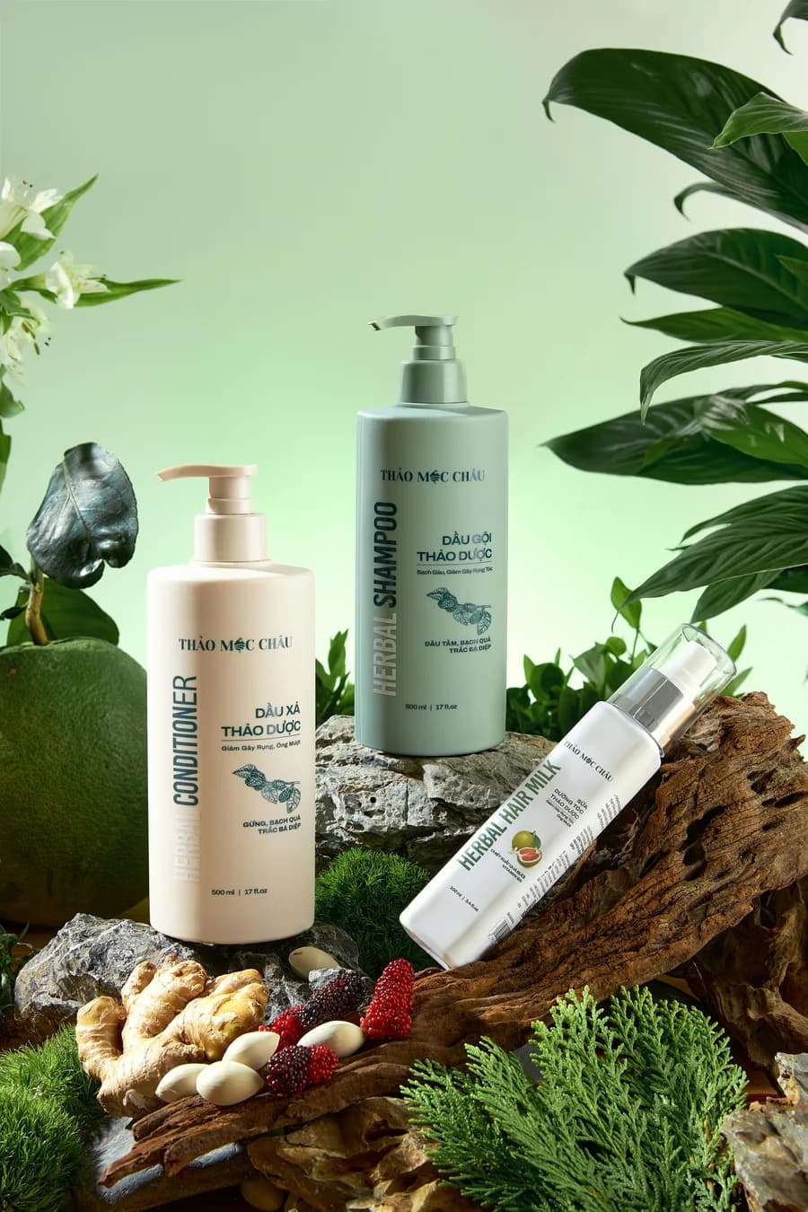 Concept Mỹ phẩm